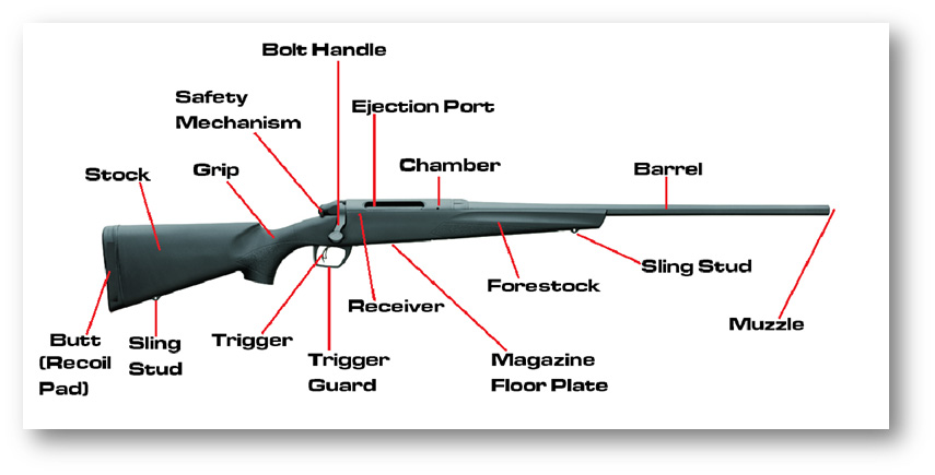 Partes De Um Rifle